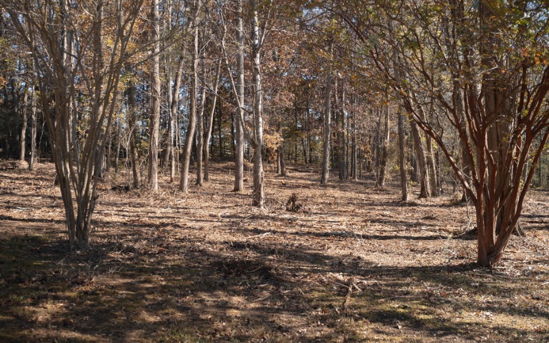 Residential lot and acreage clearing service in Chattanooga TN