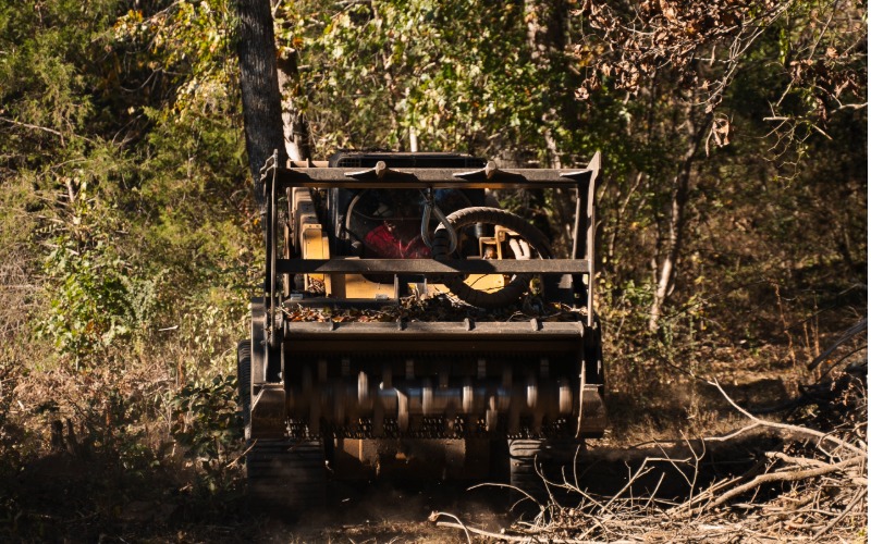Stump grinding service removing tree stump in Chattanooga TN